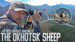 Mountain Hunting for the Okhotsk Snow Sheep. Film One