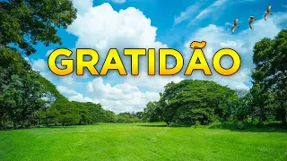 Meditação de Gratidão - Tenha Um Dia Abençoado!