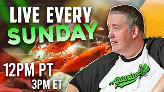 Are you asking the right question in your aquariums? - Live Sundays 12pm PST/3PM EST Episode 271