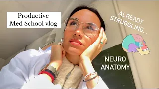 6 AM Productive Medschool Vlog : The Anatomy of the Skull scares me 🥲💀