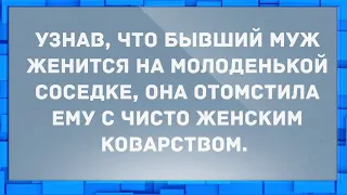 Узнав, что бывший муж женится на молоденькой соседке. Анекдоты.