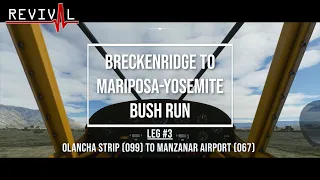 REVIVAL FLIGHT CLUB - Breckenridge to Mariposa-Yosemite Bush Run - Leg #3: Olancha Strip to Manzanar