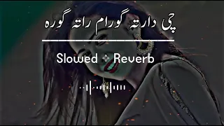 Che Darta Goram Rata Gora (Slowed+Reverb) Pashto Song | Sad Song | Lofi Song | New Song 2022