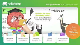 Säugetiere Ernährung & Gebiss einfach erklärt