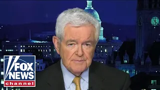 Gingrich: This bill is an 'open invitation' to create 'left-wing mindset'