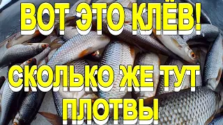 ТАКОЙ БЕШЕНЫЙ КЛЁВ ПЛОТВЫ Я ЕЩЁ НЕ ВИДЕЛ!! ЛОВЛЯ ПЛОТВЫ НА МОРМЫШКУ ЗИМОЙ!