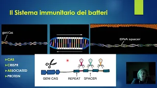 CRISPR, taglia e cuci: due “sarte” da Nobel