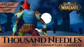 Vanilla Thousand Needles - Gameplay No Commentary, ASMR (1 hour, 4K, World of Warcraft Classic)