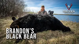 Brandon's Saskatchewan Black Bear