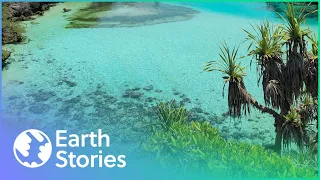 The Caribbean Island With A Natural Boiling Lake | Angry Planet | Earth Stories