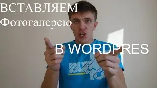 Как сделать галерею в WordPress? Создание галереи сайта