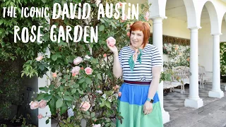 Inside the famous DAVID AUSTIN ROSE GARDEN in England