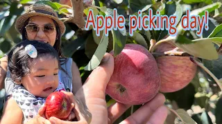 Apple picking day || Oak Glen, California