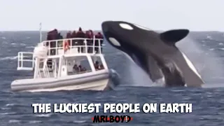 Luckiest People Ever Caught On Camera