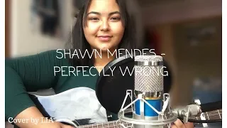 shawn mendes - perfectly wrong (cover by alina)