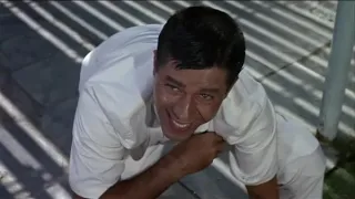 Jerry Lewis O Bagunceiro Arrumadinho