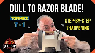 From Dull to Deadly: Mastering the Tormek T1 Knife Sharpener in One Video