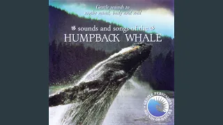 Sounds and Songs of the Humpback Whale