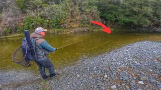 END OF SEASON FISHING for STUNNING BROWN TROUT