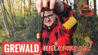 GREWALD am Fluss: Alter Köder Neue Fänge? Behält Ewald recht?