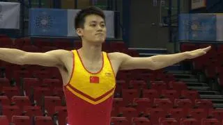 WC BIRMINGHAM 2011 - LU Chunlong (CHN)