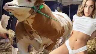 Pretty Girl Driver Calf Transportation Feeding Cow Shearing Milking Farm girls 2023
