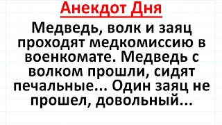 Медведь, Волк и Заяц в Военкомате. Анекдот Дня! Смех! #анекдоты #юмор