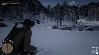 Why The White Arabian Horse Won't Spawn In RDR2 2019