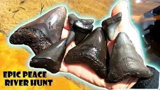 Diving for fossils: Peace River Florida: Megalodon shark teeth, mammoth tooth great river treasure