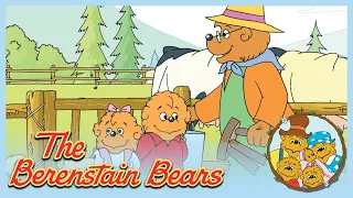 Berenstain Bears: Family Get-Together/ The Stinky Milk Mystery - Ep.26