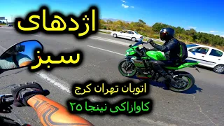 كاوازاكى نينجا ٢٥ ( اژدهاى سبز )