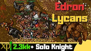 EK 150+ Edron Werecave [Where to Hunt Solo Knight]