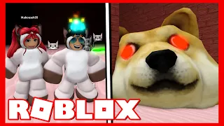 UTEČ MAKKY PŘED OBŘÍ DOGE HLAVOU!😨 Roblox Doge Head Escape w/@Makousek