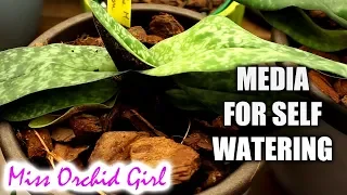 Suitable Orchid media for self watering pots - Does bark work?