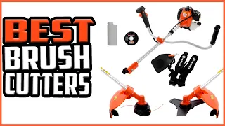 Top 5 Best Brush Cutters in 2022 reviews ✅Buying guide