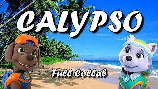 Calypso | Collab with Everest & Chase Forever