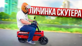 Хотели сделать самокат?! Honda Motocompo: самый крохотный байк на моем канале #МОТОЗОНА №159