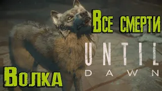 Дожить до рассвета Все смерти волка Until Dawn