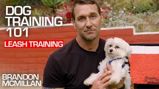 Dog Training 101: Leash Training | Brandon McMillan