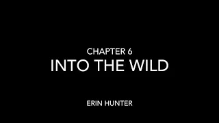 Into the wild - chapter 6