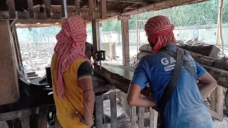 Small Wood Cutting Saw Mill Machines Working at Rural Sawmill  || West Bengal || Village Life  Pro||