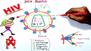 HIV BASIC STRUCTURE AND CLINICAL IMPORTANCE