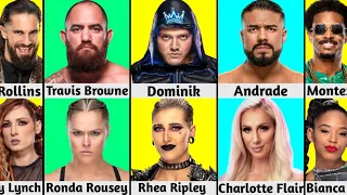 WWE Female Superstars And Their Husband & Boyfriend