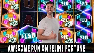 💰 HUGE WIN on FELINE FORTUNE 🐱 Mighty Cash PAYS DOUBLE! 🐲