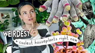 CRAZIEST Unique Plants Right Now 🌿 Amazing + Weird Houseplants