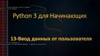 Python - Ввод данных пользователя