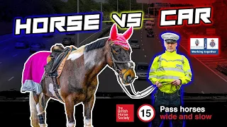 HORSE VS CAR - EQUINE SAFETY ON THE ROADS - WHY DO YOU SLOW DOWN AND GIVE SPACE?