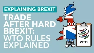 Trade After Hard Brexit: WTO Rules Explained