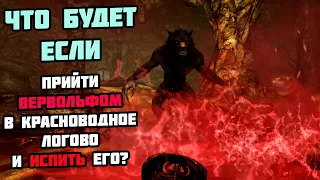 Что Будет Если Прийти ВЕРВОЛЬФОМ В Красноводное Логово? Skyrim Anniversary