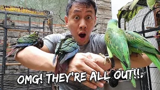 Releasing ALL MY BIRDS Into My Giant Home Aviary For the First Time - Oct. 20, 2022 | Vlog #1566